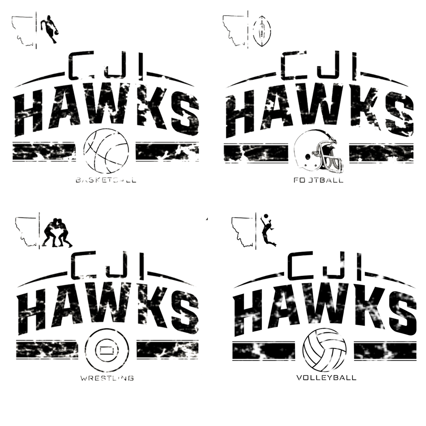Hawks Football or Volleyball Long Sleeve